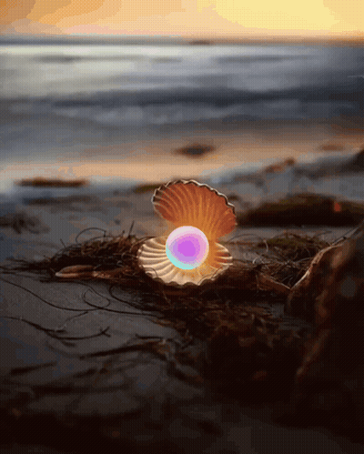 An Oyster Shell With A Pearl Inside Of It GIF
