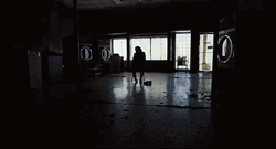 Ana De Armas Knives Out Spider Photography GIF