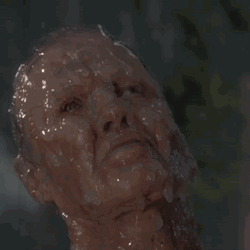 Anaconda Snake Saliva GIF