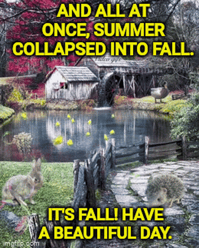 And All At Once Summer Collapsed Into Fall Have A Beautiful Day Sign GIF
