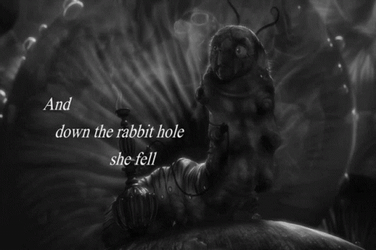 And Down The Rabbit Hole She Fell GIF