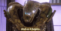 And So It Begins GIF