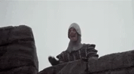 And There Was Much Monty Python Rejoicing GIF | GIFDB.com