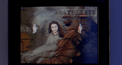Andie Macdowell Green Screen Forecast  GIF