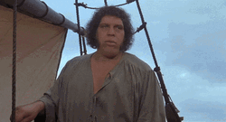 Andre The Giant I Don't Think It's Right GIF