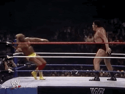 Andre The Giant Kick In The Ring GIF