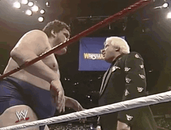 Andre The Giant On The Ring GIF