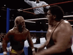 Andre The Giant Punch GIF
