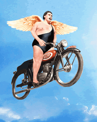 Andre The Giant With Wings GIF