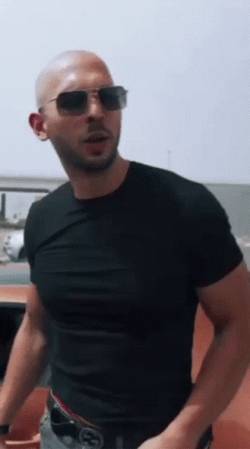 Andrew Tate What Serial Is Your Huge Cat GIF