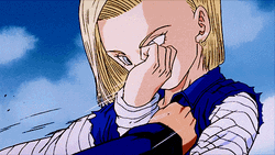 Android 18 Dragonball Fighting