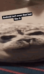 Android Meme Sarcastic Cat