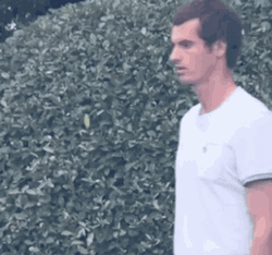 Andy Murray Catching A Ball