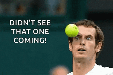 Andy Murray Didn't See That Pickleball Coming Meme GIF