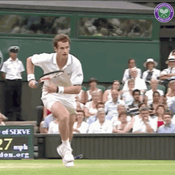 Andy Murray Forehand Running GIF