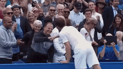 Andy Murray Friendly GIF