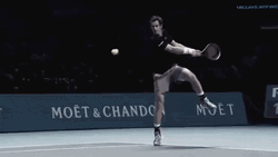 Andy Murray In Flight
