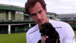 Andy Murray Kissing  GIF