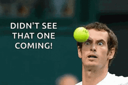 Andy Murray Tennis Ball Quote