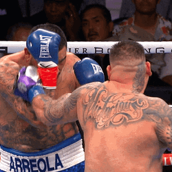 Andy Ruiz Boxing Fight GIF