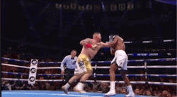 Andy Ruiz Knockout Anthony Joshua GIF
