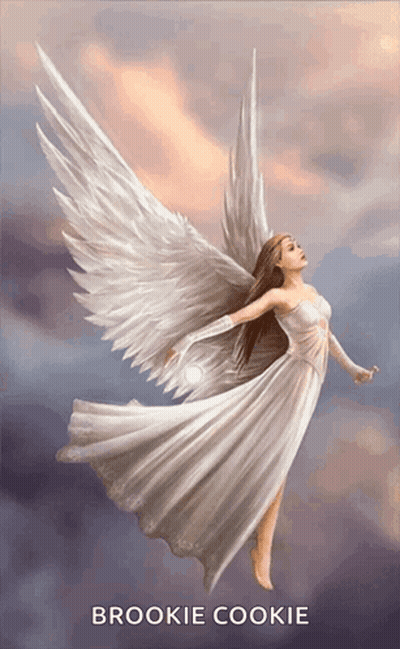 Angel Brookie Cookie GIF