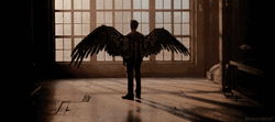 Angel Man Spreading Wings GIF