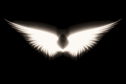 Angel's Wings Moving GIF