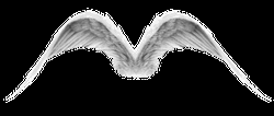 Angel Wings Flapping GIF