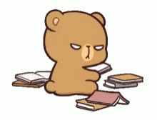 Angry Bear Mocha Furious Studying  GIF