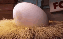 Angry Bird Breaking Into It's Egg GIF