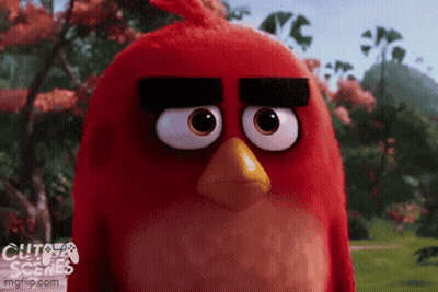 Angry Bird Close Up From Movie GIF