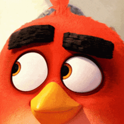 Angry Bird Close Up With Big Eyes And Yellow Beak GIF