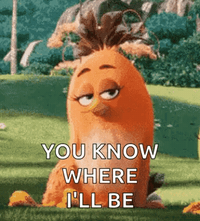 Angry Bird In Grass Saying You Know Where I'll Be GIF