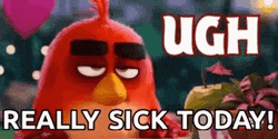 Angry Bird Really Sick Today GIF