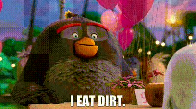 Angry Bird Sitting On Table With Balloons Saying I Eat Dirt GIF