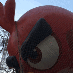 Angry Birds Big Red Inflatable Balloon  GIF