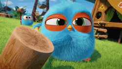 Angry Birds Blue Vicious Stare  GIF