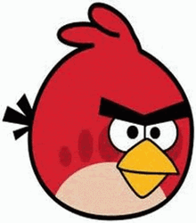 Angry Birds Character Compilation  GIF