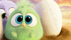 Angry Birds Happy Mother's Day  GIF