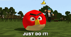 Angry Birds Just Do It GIF
