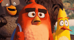 Angry Birds Looking Up GIF
