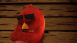 Angry Birds Nap  GIF