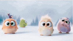 Angry Birds Peek A Boo Licking  GIF