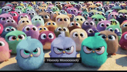 Angry Birds Pink Holy Moly  GIF