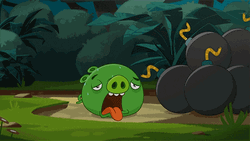 Angry Birds Poor Pig Sweating  GIF