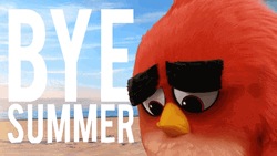 Angry Birds Red Bye Summer  GIF