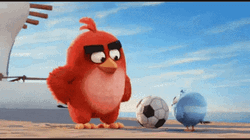Angry Birds Red Chuta Longe  GIF