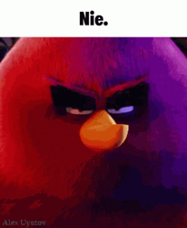 Angry Birds Red Dangerous Stare  GIF