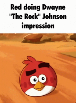 Angry Birds Rock Eyebrow GIF
